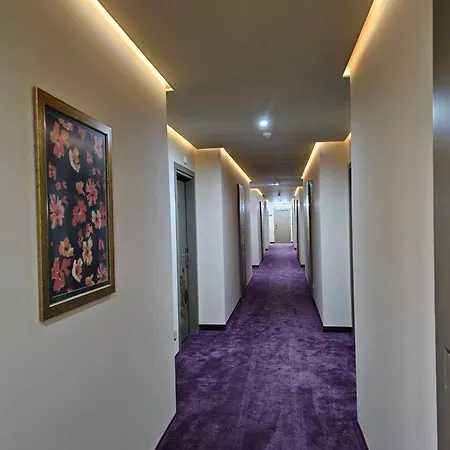 Hotel Parish Swilengrad